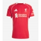 Billige Fotballdrakt Liverpool Virgil van Dijk #4 Replika Hjemmedrakt 2025-26 Kortermet Billige Fotballdrakt Liverpool Virgil van Dijk #4 Replika Hjemmedrakt 2025-26 Kortermet